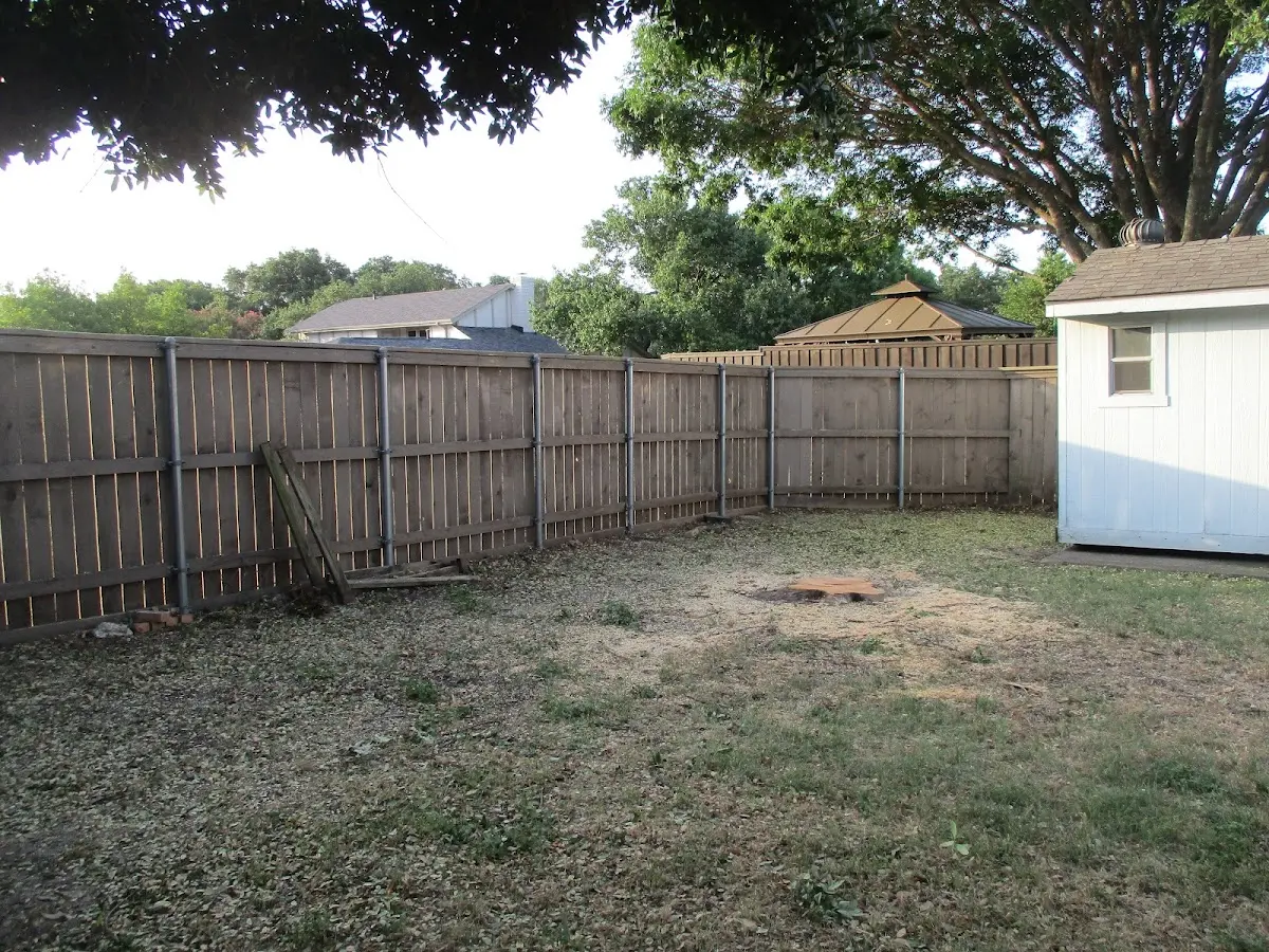 Cleared yard after professional tree removal in Sergeantsville